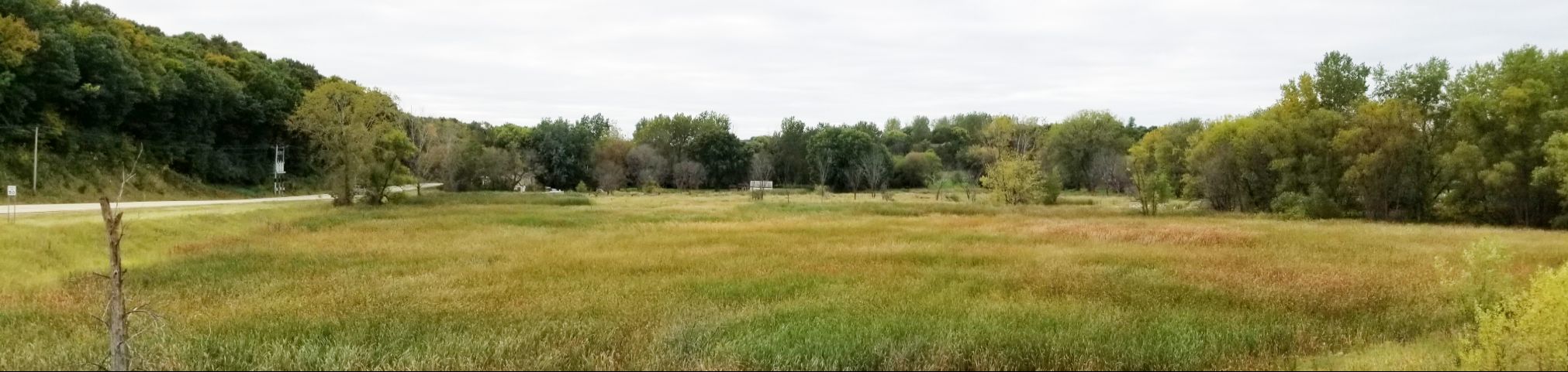 The project site before restoration (fall 2019).