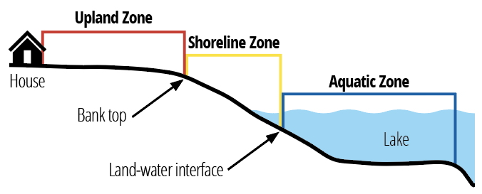 Shoreland zones sideview diagram.png